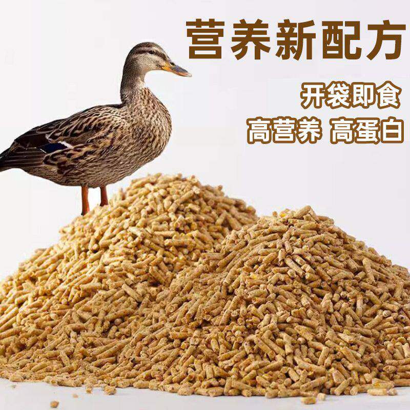 鹅料小鹅配合饲料高蛋白