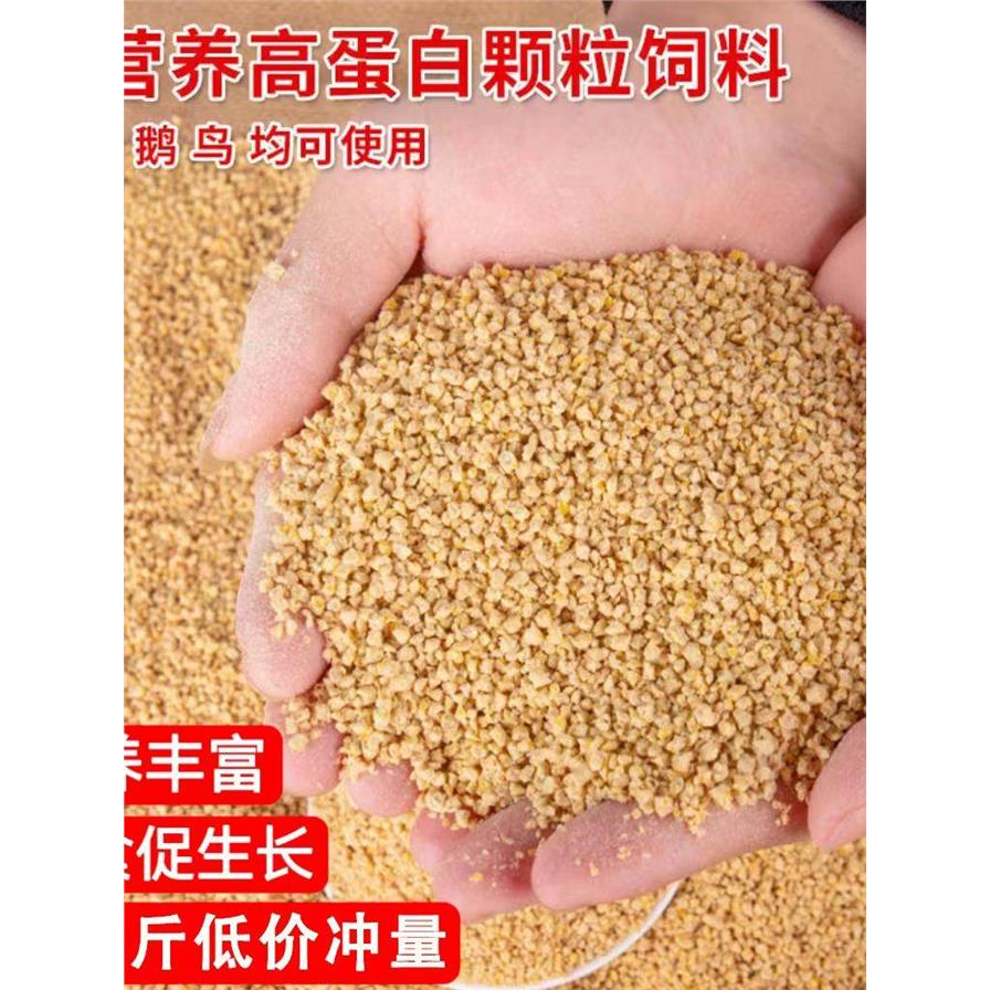 中大鸡小鸡饲料颗粒产蛋