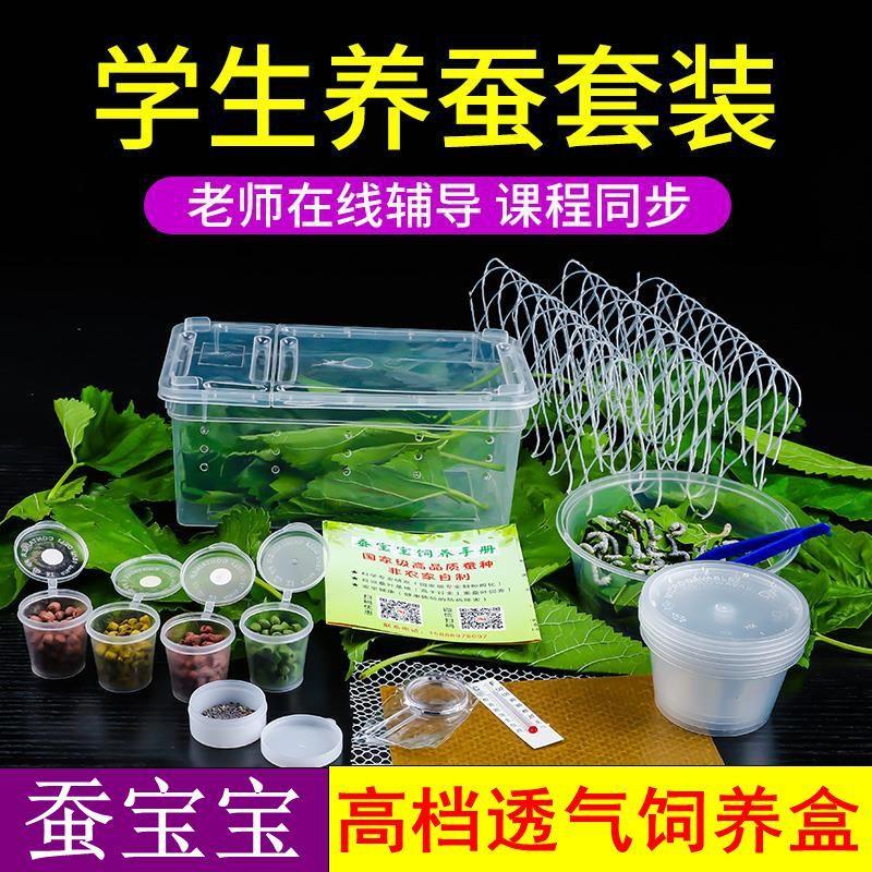 蚕宝宝活体套装巨型学生养蚕蚕卵幼蚕大蚕金丝彩色七彩送新鲜桑叶