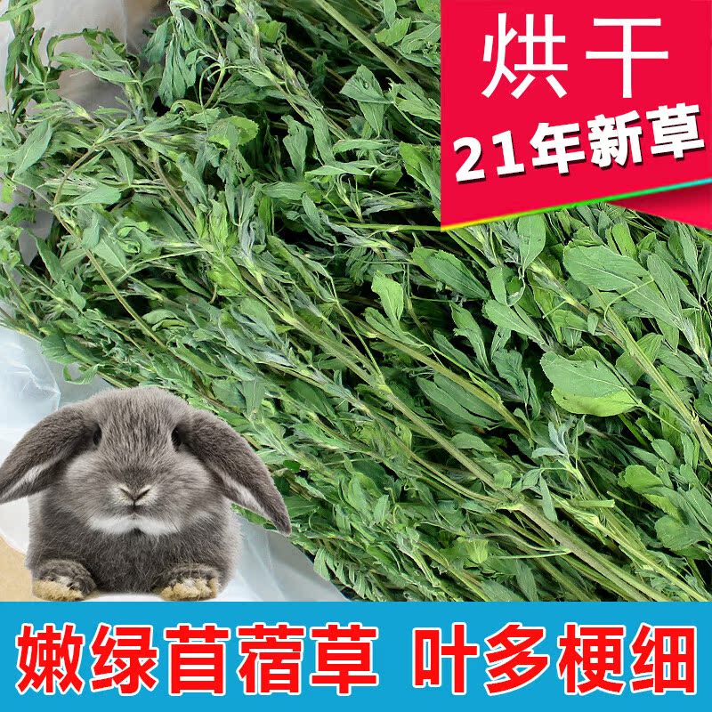 紫花苜蓿草1kg豚鼠荷兰猪龙猫兔子牧草饲料幼兔粮干草