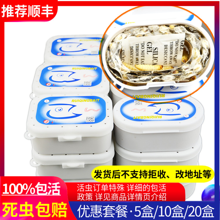 包邮葡萄蜜虫钓饵爬宠仓鼠玉米虫活体零食大蜡螟幼体鱼饵鸟虫粮食