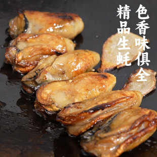 [直播福利] 正宗台山汶村金蚝天然生晒无抽油六成干