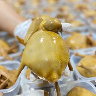 仙鹤神针鸽子冻品海鲜春季年菜聚会