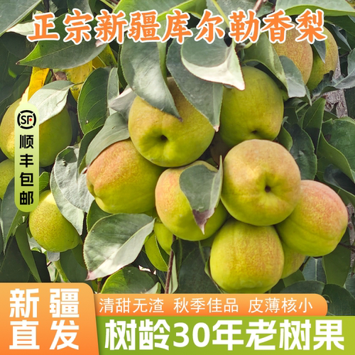 新疆直发正宗库尔勒香梨母梨皮薄肉脆清甜多汁中秋送礼