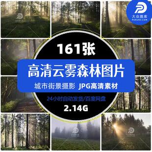 高清云雾森林图片光线直射阴森恐怖场景迷雾神秘云山雾罩精选素材