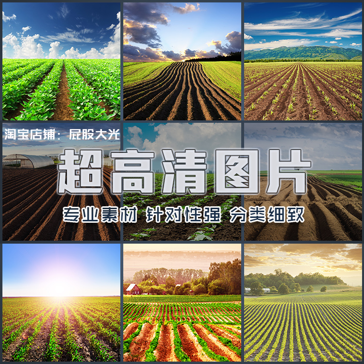 超大超高清图片农田麦田耕地土地田野庄稼菜地田间