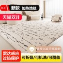 2025可拆洗石墨烯电热地毯客厅地暖垫家用发热地毯加热地垫地热垫