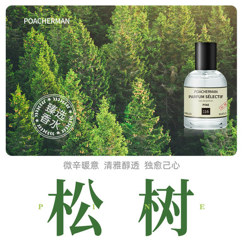 柏世曼木质香调松树香水