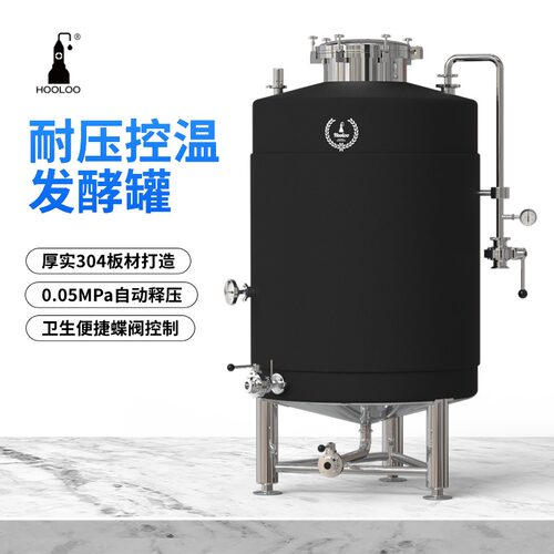 耐压控温发酵罐啤酒威士忌制作