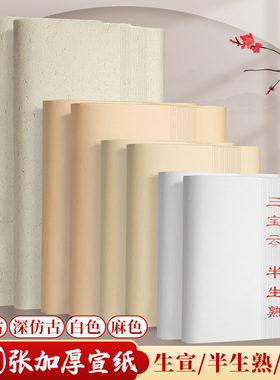 加厚宣纸书法国画专用半生熟仿古生宣纸白色练习用纸四尺三开四开生宣写毛笔字半熟作品纸工笔练字画画熟宣