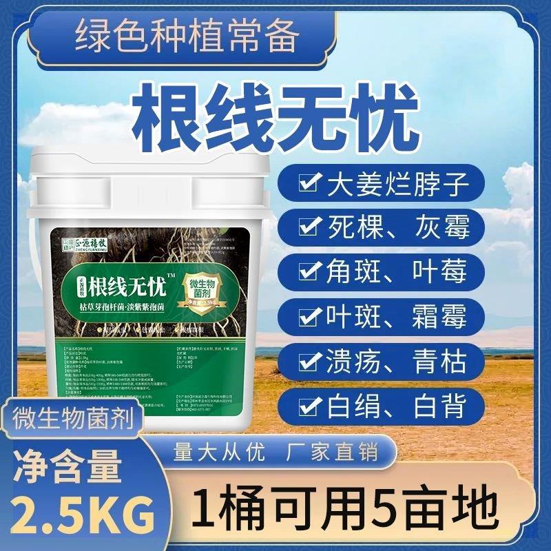 根结线虫特效药农用大棚根线虫冲施肥根线虫专用淡紫紫孢菌治理剂