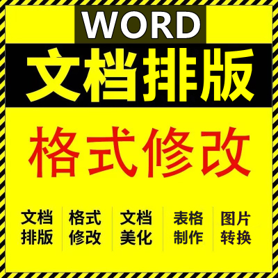 word排版文档代做excel图表格制作格式修改数据处理打字服务Vba金