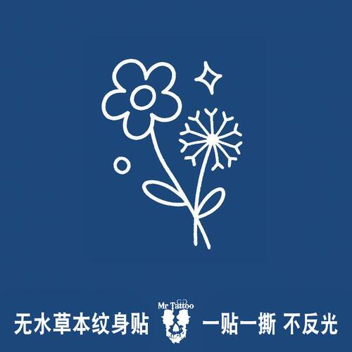 无水草本纹身贴蒲公英太阳花手臂个性图腾半永久果汁刺青纹身贴纸