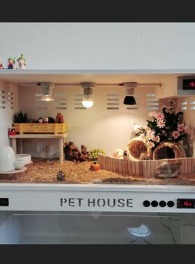 PVC爬箱芦丁鸡迷你刺猬宠物保温恒温饲养箱智能小鸡鹦鹉育雏保温