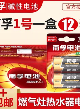 南孚1号电池D型一号碱性LR20热水器煤气灶用液化气炉灶用天然气