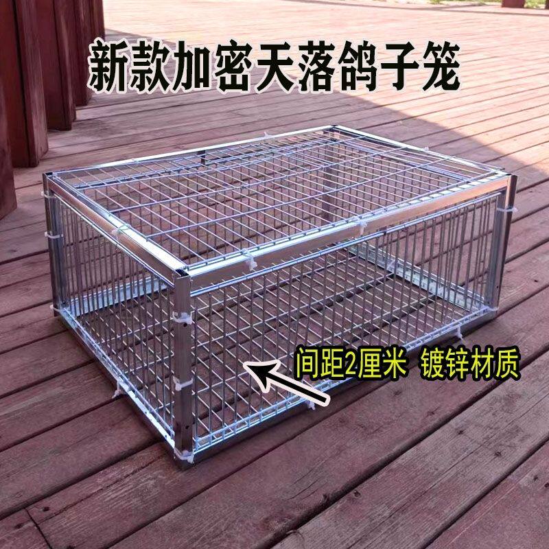 自动进入养殖笼收鸽子笼