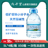 廣西九千萬(wàn)山泉5升*4瓶箱裝水
