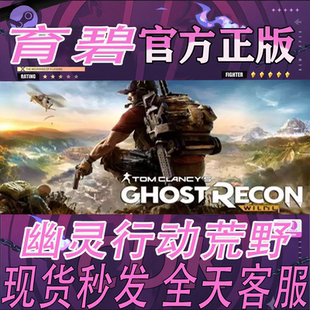 PC正版育碧Uplay 幽灵行动荒野 Tom Clancys Ghost Recon 激活码