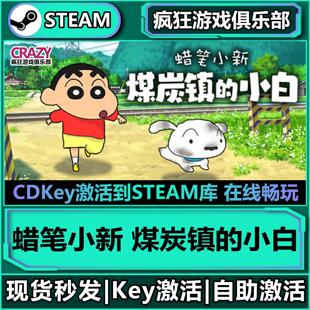 Steam正版蜡笔小新煤炭镇的小白 激活码CDK入库全球国区全DLC游戏