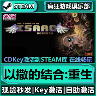 CDKey入库 Steam正版 激活码 结合重生 全DLC动作类Rogue游戏 以撒