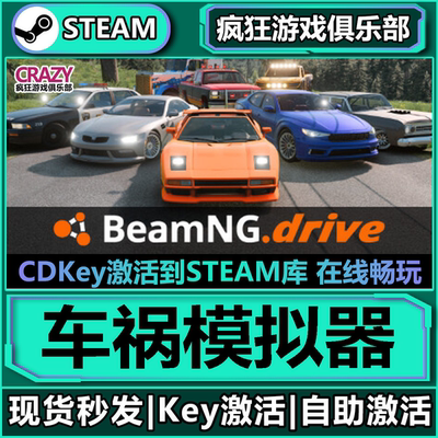 Steam正版车祸模拟器全D