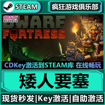 Steam矮人要塞激活