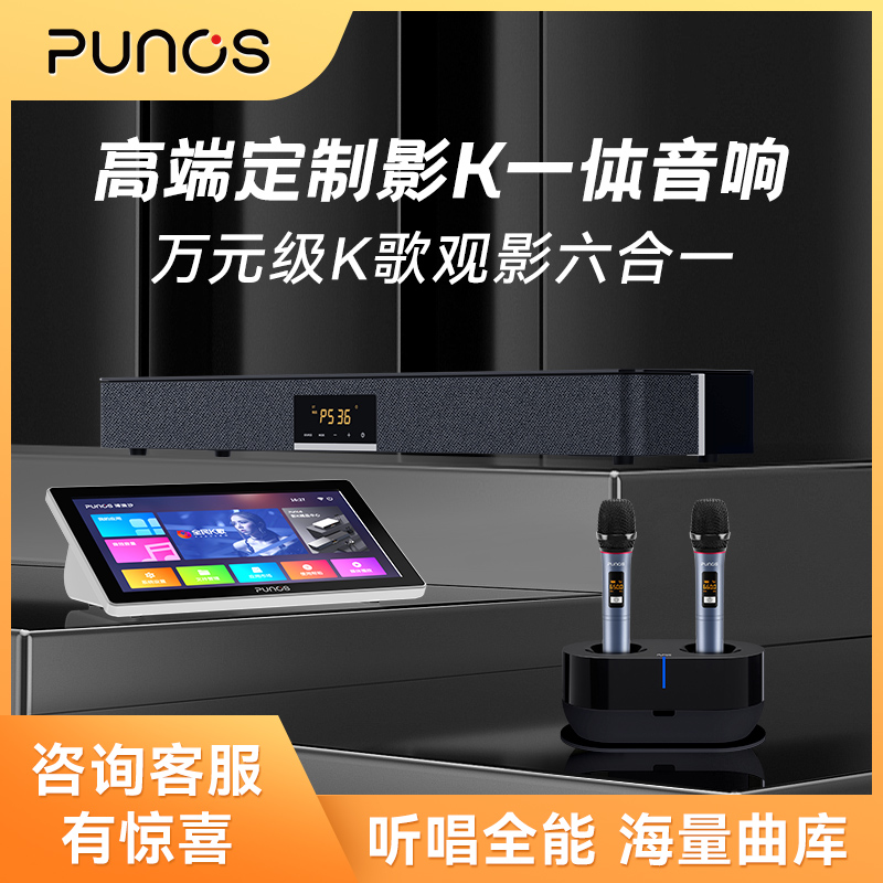 博浪沙/Punos家庭ktv音响套装点歌机一体机卡拉ok机家用功放投影