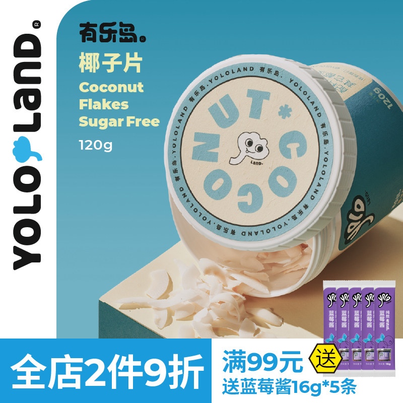 有乐岛/椰子片 马来西亚特产无蔗糖不甜椰子脆片