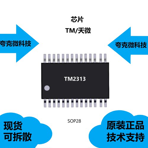 TM2313芯片品牌是天微大量现货