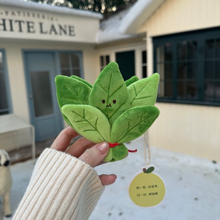 量子猜想柚子叶毛绒玩偶小众创意好运去晦气幸运挂件挂饰新年礼物