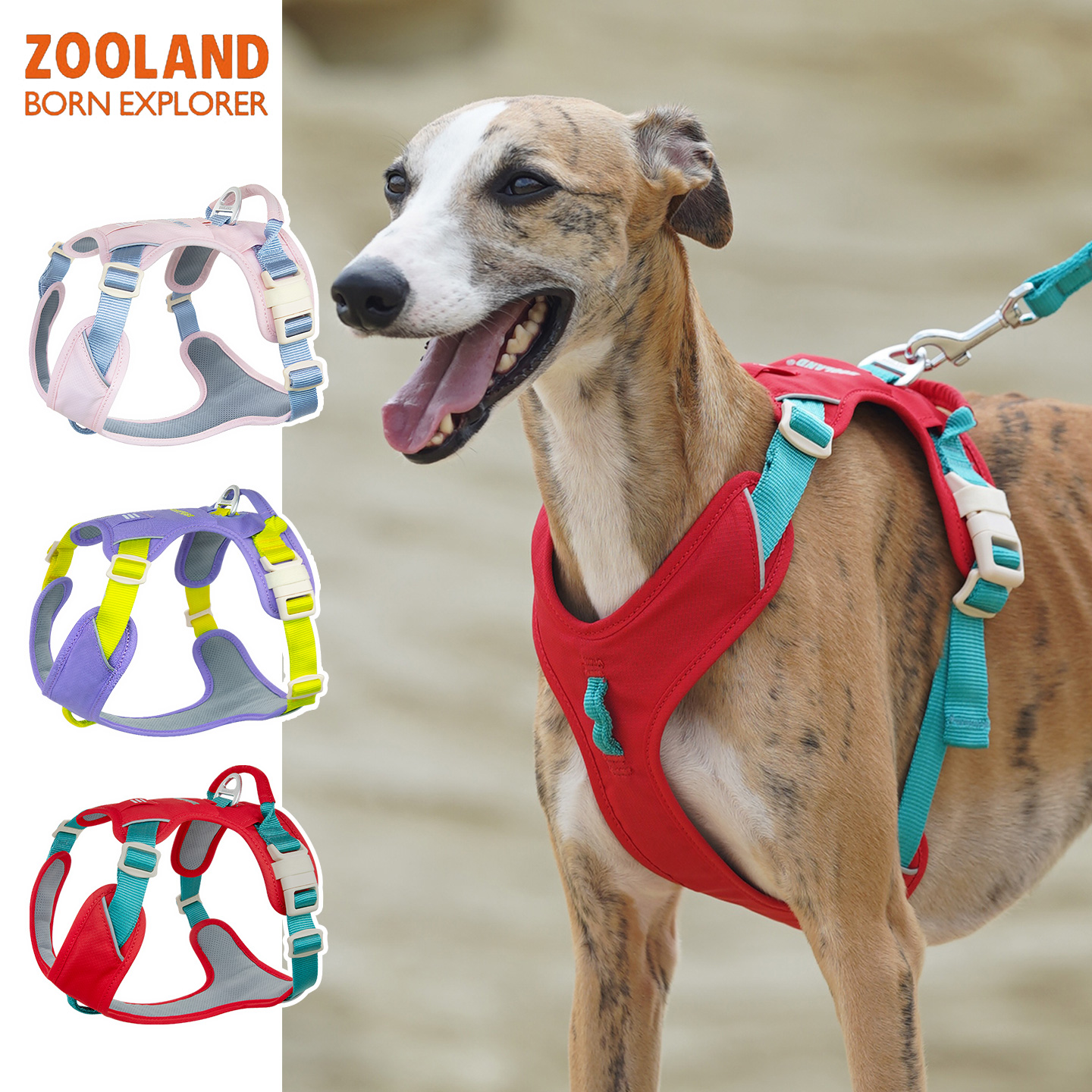 ZOOLAND狗狗胸背牵引绳新款