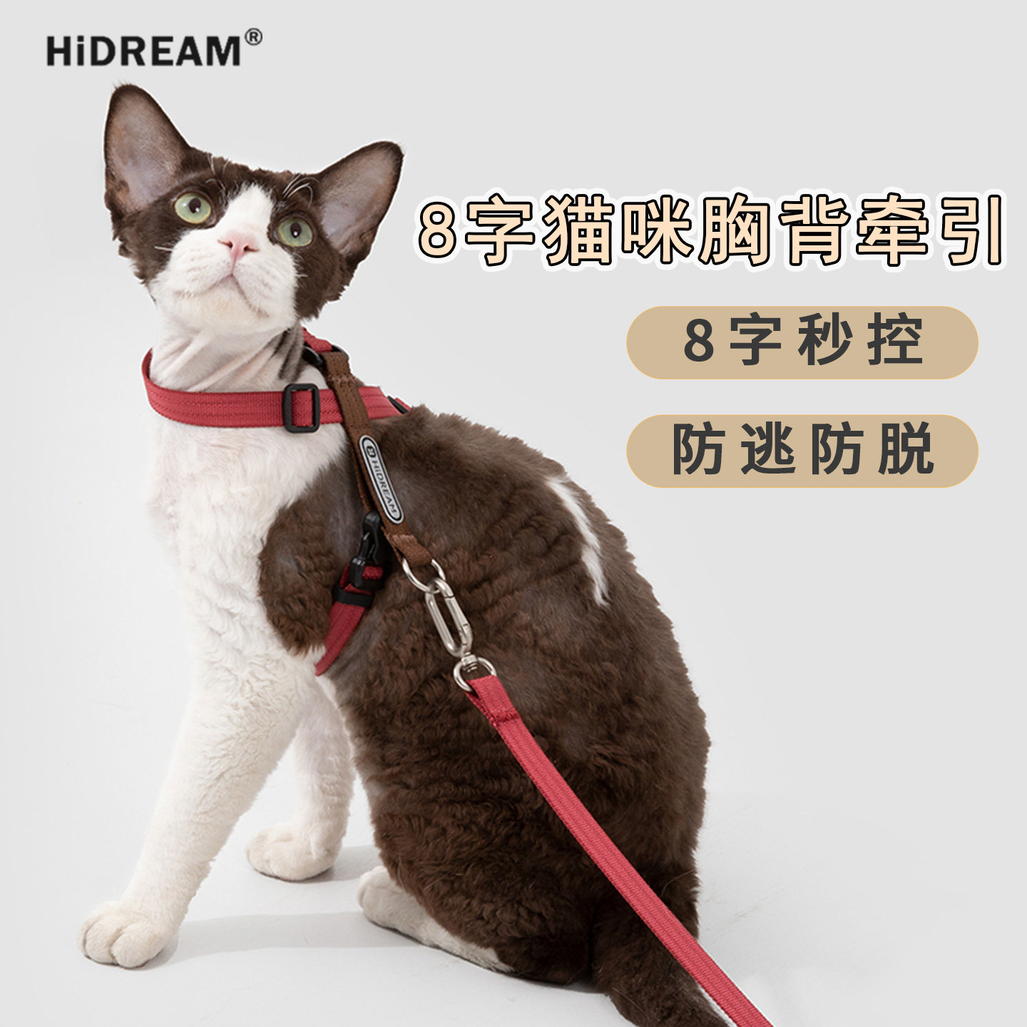 HiDREAM猫牵引绳8字型防挣脱图片