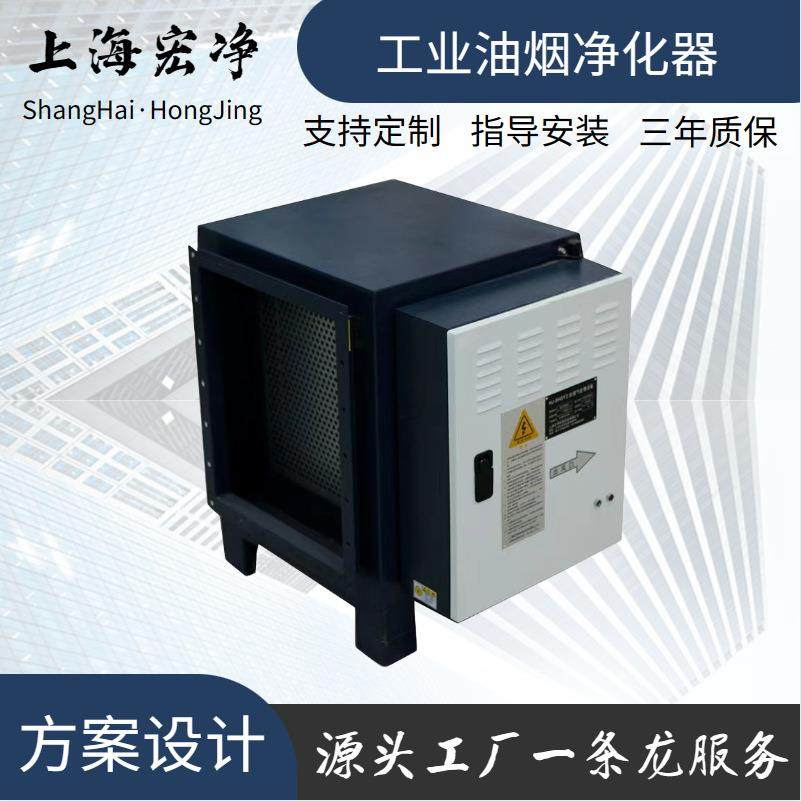 低空油烟净化器酒店商用餐饮工业除烟设备烧烤烟雾净化器油污油烟