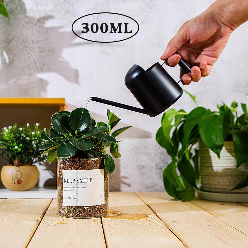 黑色不锈钢儿童园艺小型洒水壶多肉植物浇水壶家用迷你浇花喷壶