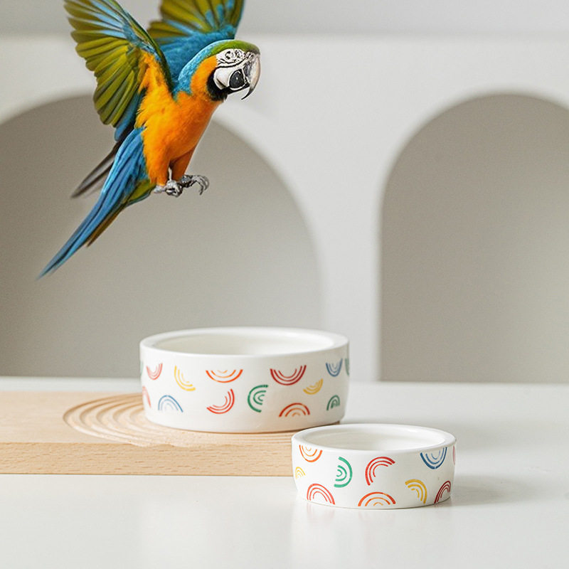 鹦鹉陶瓷食碗幼鸟学吃防溅防撒鸟食罐食盒玄凤防打翻鸟笼配件用品,宠物/宠物食品及用品,鸟禽喂食器/喂水器,淘宝优惠券,粉丝福利购,淘宝优惠卷