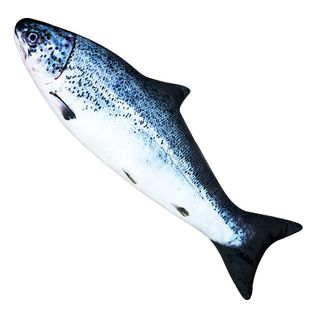 仿真鲑鱼抱枕三文鱼毛绒玩具公仔鱼玩偶咸鱼摆件娃娃靠垫睡觉长条