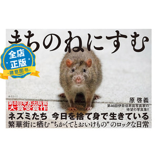 现货 日版】野鼠预警 日本摄影师原启义老鼠摄影作品集 写真集46届伊奈信男奖 まちのねにすむ 原啓義9784434328466