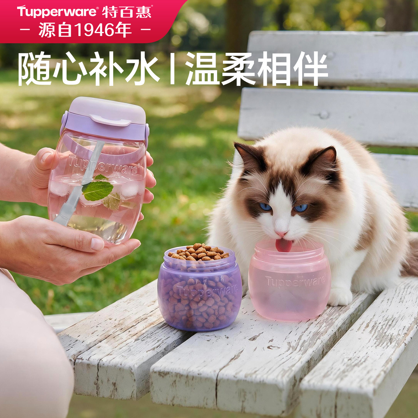 特百惠2026新款囤囤罐水杯高颜值双饮水壶宠物食物密封储藏罐