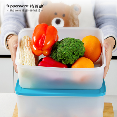 特百惠冷冻冷藏两用超大保鲜盒