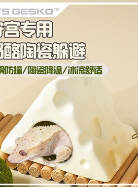 爬宠躲避睫角守宫降温陶瓷三角形奶酪躲避小型宠夏天消暑宠物用品