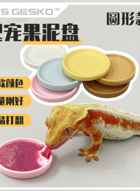 爬宠食盆果泥盘食碟碗睫角守宫蜥蜴盖勾亚R属亚成体及成体适用