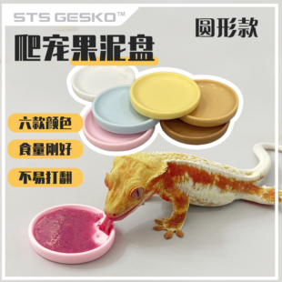 爬宠食盆果泥盘食碟碗睫角守宫蜥蜴盖勾亚R属亚成体及成体适用