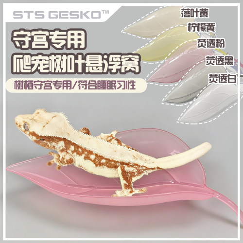 爬宠树叶悬浮窝睫角守宫荧透款吸盘仿真植物躲避攀爬树R属树蛙
