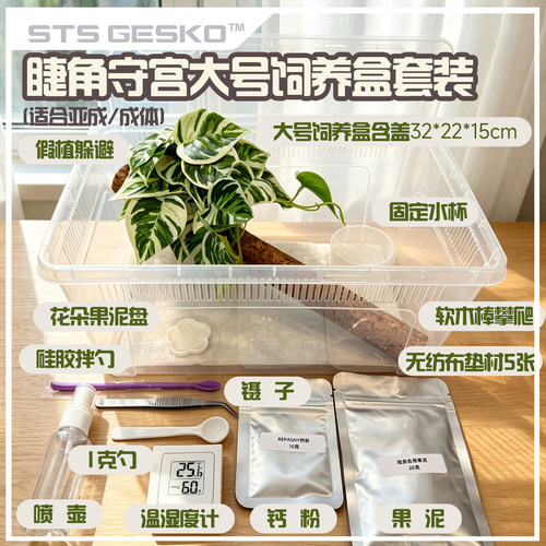 睫角守宫新手饲养套装一套备齐含用具垫材果泥温湿度计假植加热垫