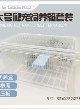 大号爬宠饲养盒套装带盖爬行爬虫睫角守宫蜘蛛蝎子牛角蛙养蚕