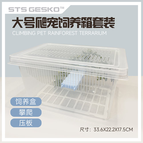 大号爬宠饲养盒套装带盖爬行爬虫睫角守宫蜘蛛蝎子牛角蛙养蚕