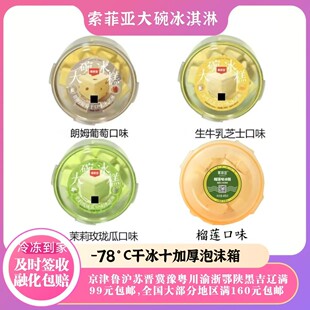 1 桶百家得索菲亚网红生巧朗姆提拉米苏牛奶味桶装冰淇淋激淋冷饮