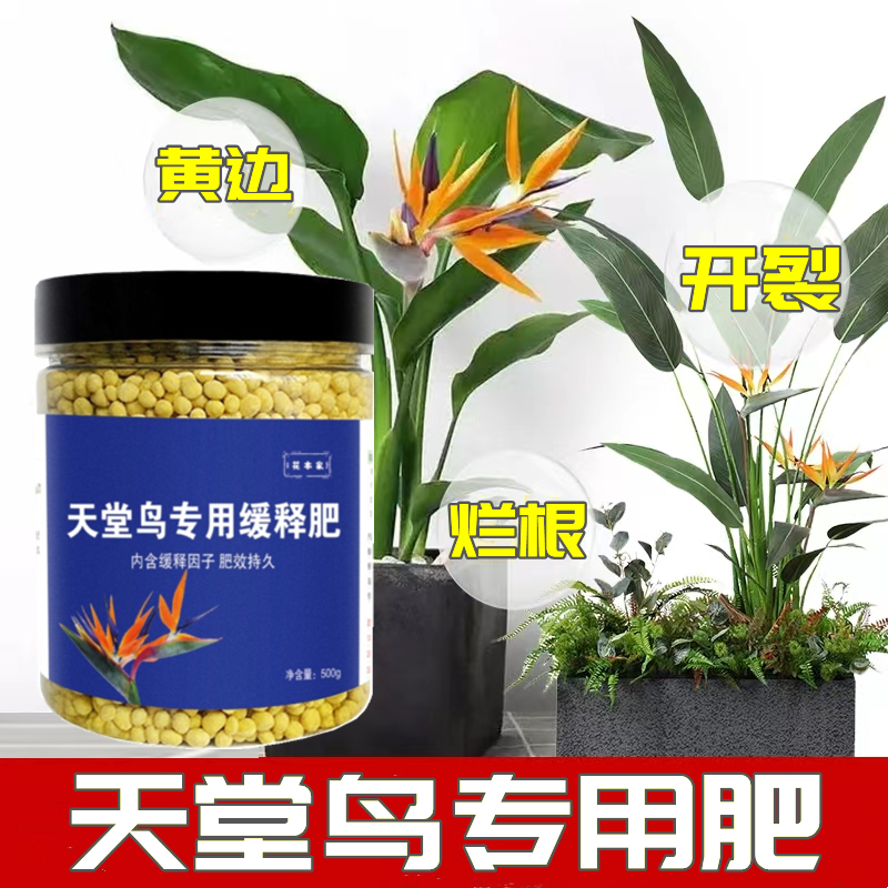 天堂鸟专用缓释肥复合肥家用型控释颗粒植物盆栽绿植花卉养花肥料