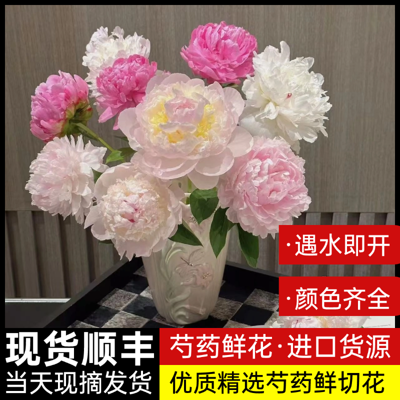 山东芍药鲜花牡丹重瓣花束云南鲜切花客厅插花卉玫瑰基地母亲节