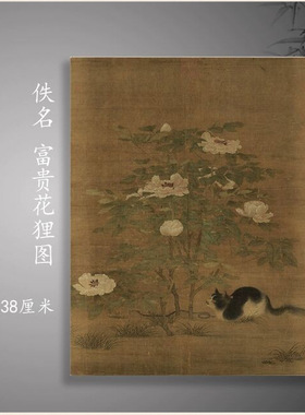 南宋名家国画富贵花狸图复古书画